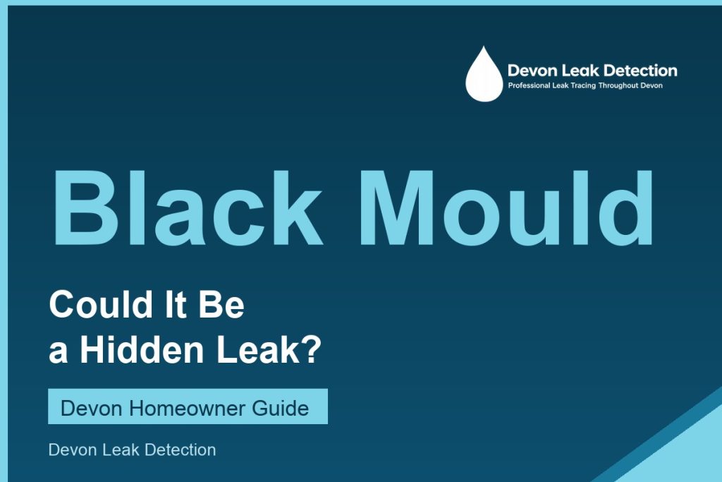 Black mould on walls, could it be a hidden leak, Devon Leak Detection