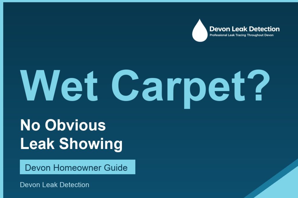 Wet carpet with no obvious leak, a Devon Leak Detection guide