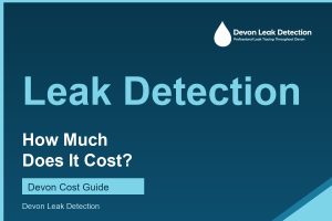 How much does leak detection cost, a Devon Leak Detection guide