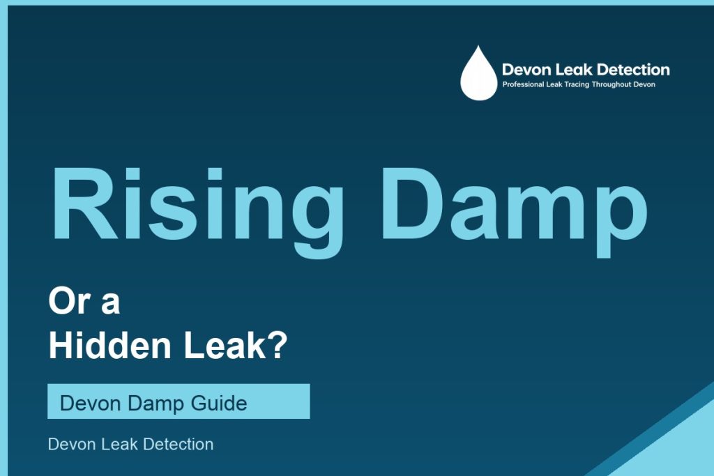 Rising damp or a hidden leak, a Devon Leak Detection guide