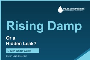 Rising damp or a hidden leak, a Devon Leak Detection guide