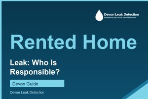 Water leak in a rented property, who is responsible, Devon Leak Detection